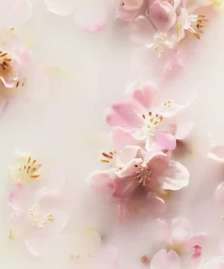 RITUALS - The Ritual Of Sakura