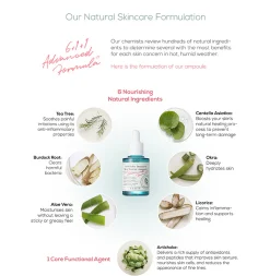 AXIS-Y - Artichoke Intensive Skin Barrier Ampoule de Barrière Cutanée Intensive à l'Artichaut