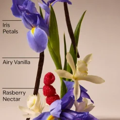 BATH AND BODY WORKS – Butterfly Brume Parfumée