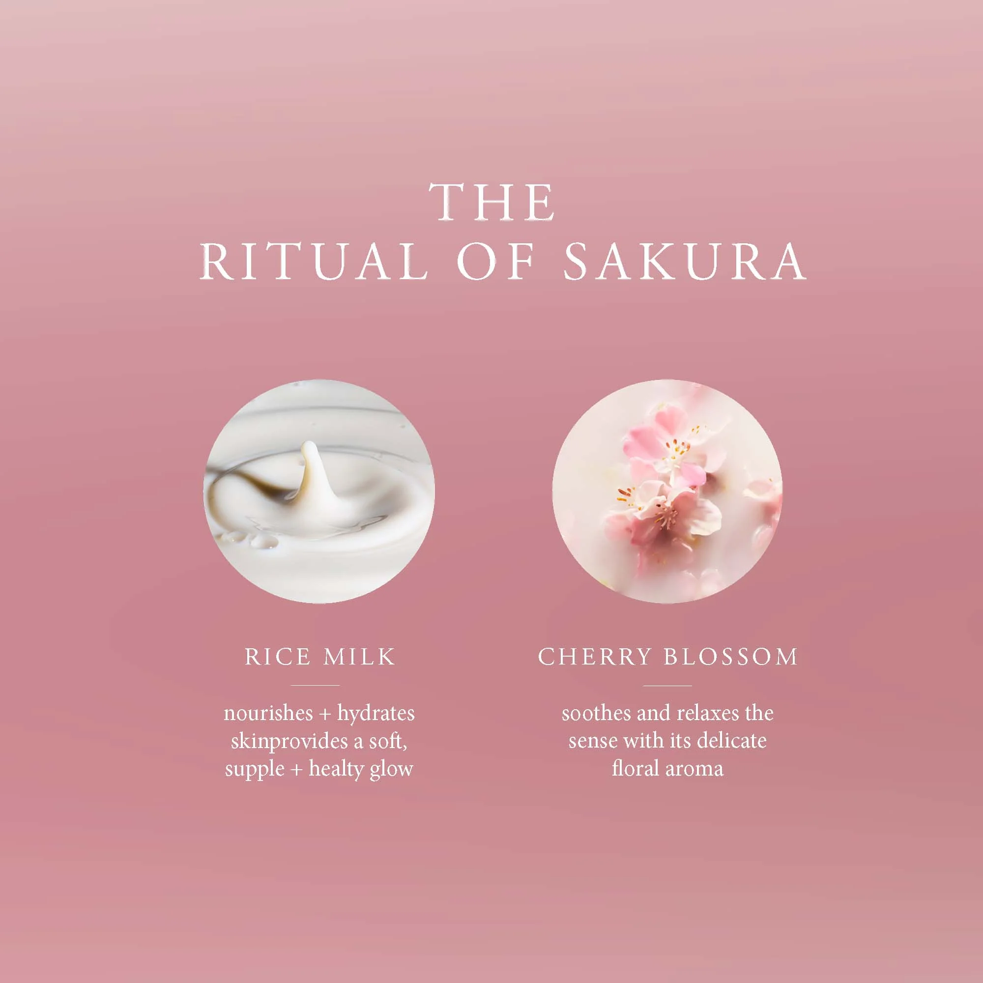 RITUALS-The-Ritual-Of-Sakura-Renewing-Routine-Coffret-Corps-Maison-5.webp